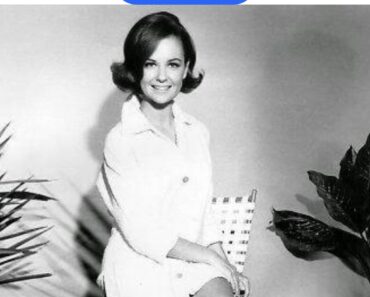 Johnny Angel | Shelley Fabares